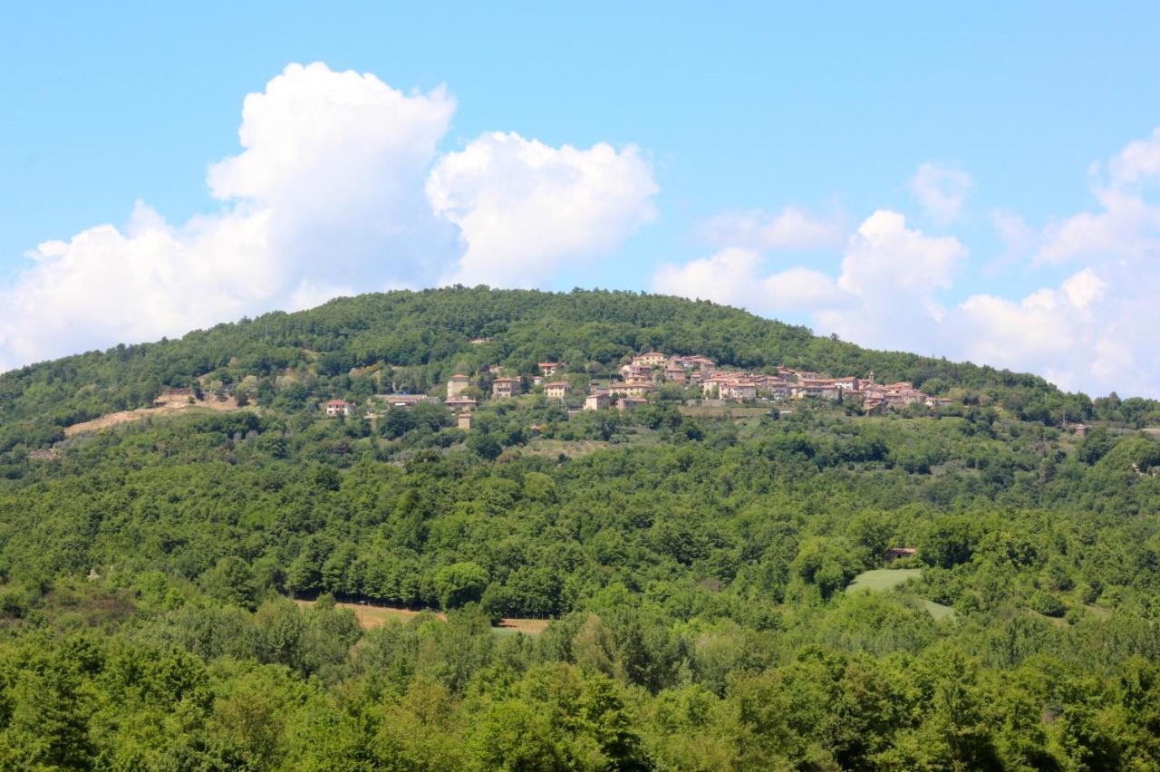 Agriturismo La Via Dell'Oliviera Ciciano Bagian luar foto